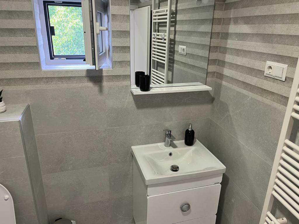 Sabina Apartaments Sfântu-Gheorghe Dış mekan fotoğraf