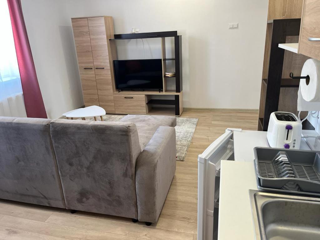 Sabina Apartaments Sfântu-Gheorghe Dış mekan fotoğraf
