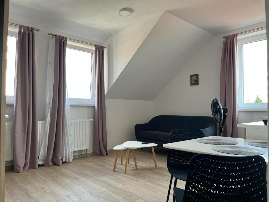 Sabina Apartaments Sfântu-Gheorghe Dış mekan fotoğraf