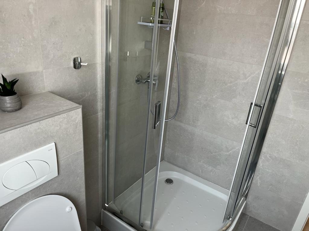 Sabina Apartaments Sfântu-Gheorghe Dış mekan fotoğraf