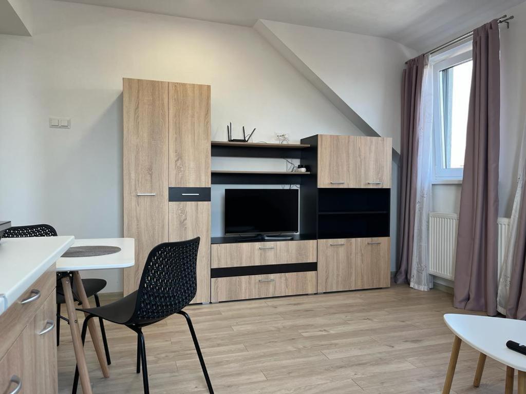 Sabina Apartaments Sfântu-Gheorghe Dış mekan fotoğraf