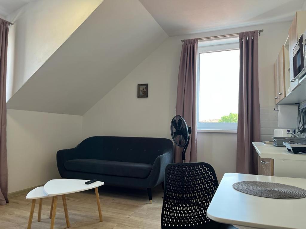 Sabina Apartaments Sfântu-Gheorghe Dış mekan fotoğraf