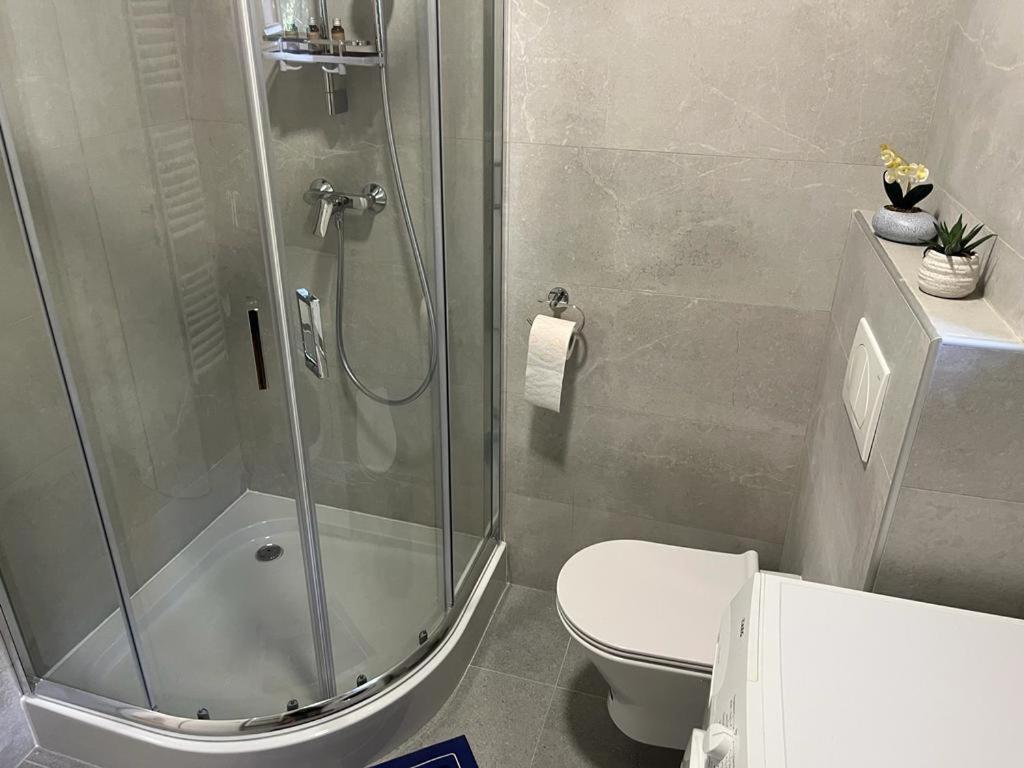 Sabina Apartaments Sfântu-Gheorghe Dış mekan fotoğraf