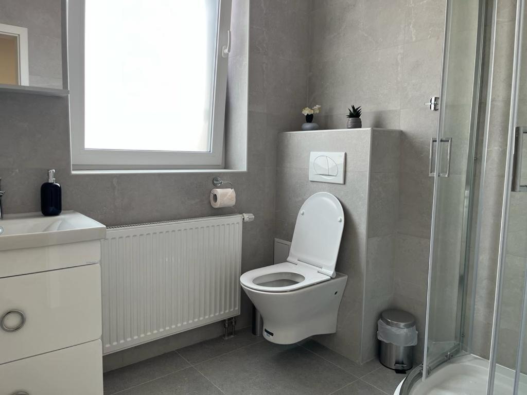 Sabina Apartaments Sfântu-Gheorghe Dış mekan fotoğraf
