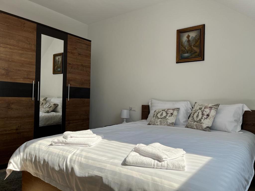 Sabina Apartaments Sfântu-Gheorghe Dış mekan fotoğraf